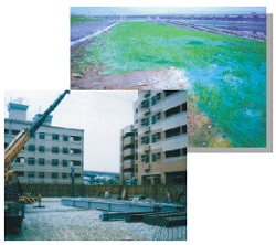 裸露地表示意